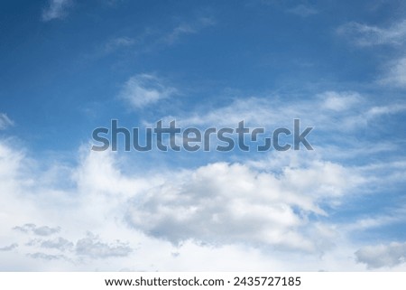 When you look up, the blue sky and white clouds spread out