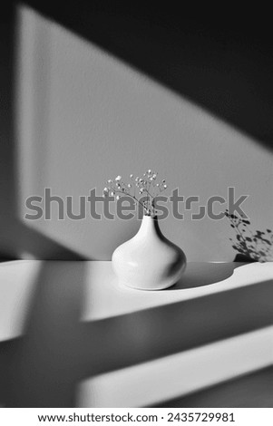 White vase with small white flowers in geometric shadows from sunlight.  White and black. Copy space. 