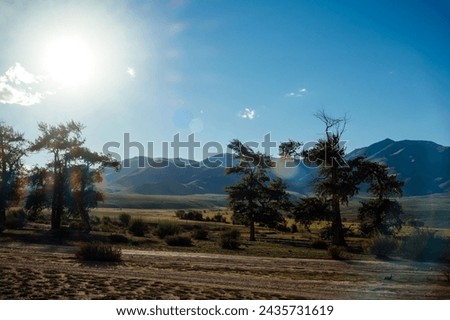 Wilderness mountain landscape with clear blue sky and white clouds in dazzling sunlight. Sunbeams fall on hills and trees.