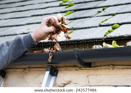 clearing blocked gutter of autumn leaves Royalty-Free Stock Photo #243577486