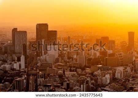 Cityscapes of tokyo gold sunset winter, Skyline of Tokyo, office building and downtown of tokyo in minato, Japan, Tokyo is the world's most populars metropolis and centers for world business.