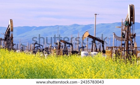 Oil Pump Jacks Amidst Super Bloom: 4K Ultra HD Image of California Fields