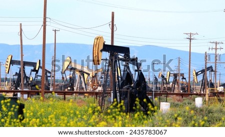 Oil Extraction Harmony: 4K Ultra HD Image of Oil Pump Jacks on Super Bloom Field in California