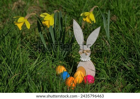 Easteregg in Fresh Green Grass; Easter Bunny in Fresh Green Grass, Spring Flowers in A Meadow, Colorful Easter Time Decoration in The Nature, A Image Of Sweet Easter Time Greeting,  Royalty-Free Stock Photo #2435796463