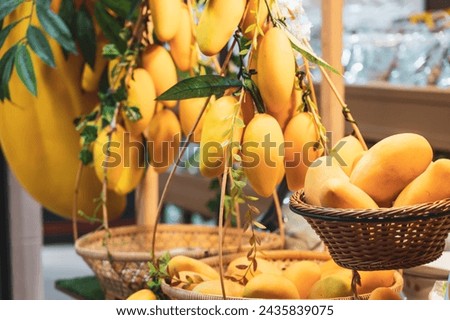 Tropical fruits yellow mangoes, gold apple pears and lemons neatly arranged, for sale at a small fruit stall at a market
