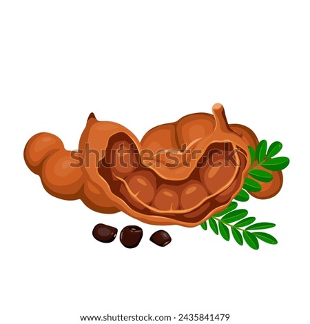 Tamarind fruit seeds and pods. vector illustration flat cartoon icon isolated on white.Vector eps 10. perfect for wallpaper or design elements Royalty-Free Stock Photo #2435841479