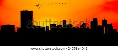 Sunrise of Denver skyline with birds