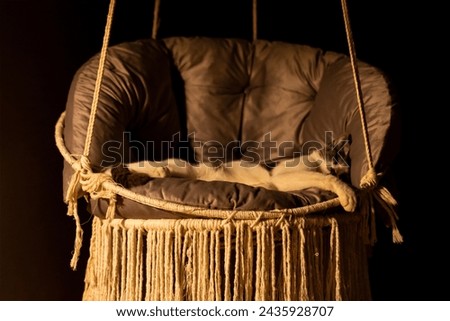 Cat resting, sleeping, relaxing hanging home rope swing in a Scandinavian interior. cat face lying on the fabric. muzzle of a sleeping cat with closed eyes. pet ownership, pet friendship concept Royalty-Free Stock Photo #2435928707