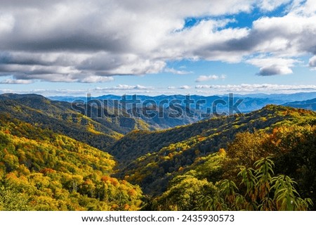 Beautiful autumn scenery at Great Smoky Mountains National Park.