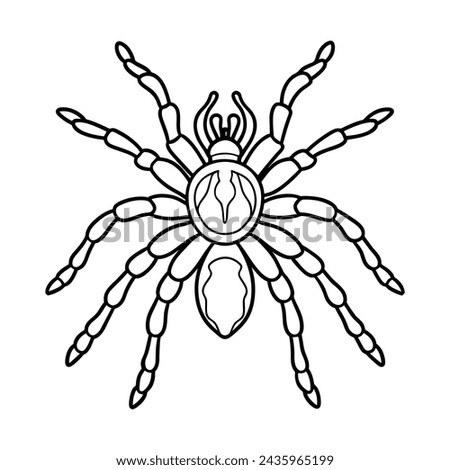Tarantula illustration coloring page for kids