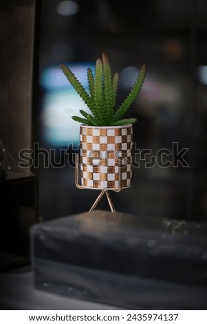 just an Decor ideas cactus india flower