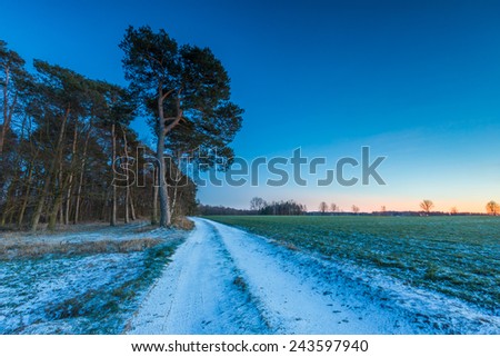 winter landscape with sandy rural road after sunset