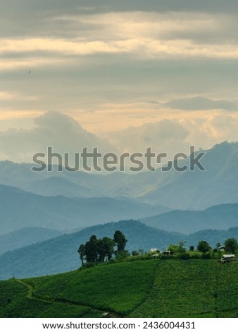 landscape view  vertical beautiful  scenery looking fog green tree forest Mountain hill natural blue sky cloud horizontal distant countryside thailand asia travel holiday wind relax dawn time