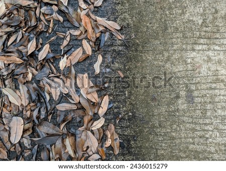 photo of dry leaf litter from trees