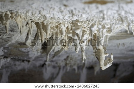 Intricate stalactites in a cave showcase stunning geological formations. Royalty-Free Stock Photo #2436027245