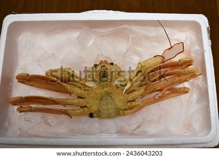 reversed fresh Japanese snow crab in the box with ice. Royalty-Free Stock Photo #2436043203