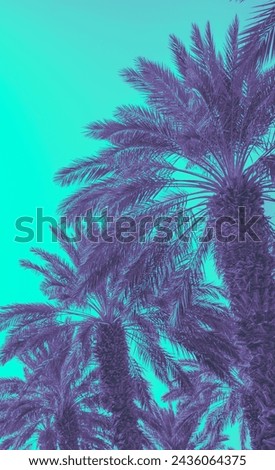 Two palm trees against blue sky.  Silhouette of tall palm trees. Tropical evening landscape.  Beautiful tropic nature. Vertical banner Royalty-Free Stock Photo #2436064375
