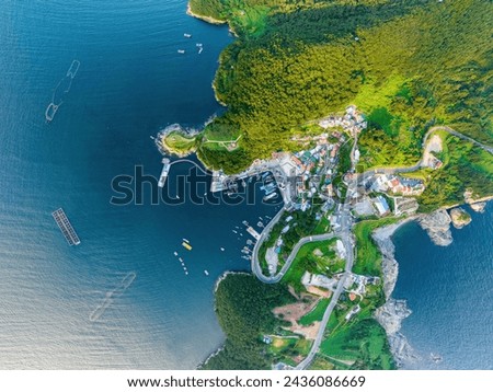 Aerial and top angle view of road and houses of a village with fishing boats and cruise ships moored on the sea at Dojang Port of Galgot-ri near Geoje-si, South Korea
