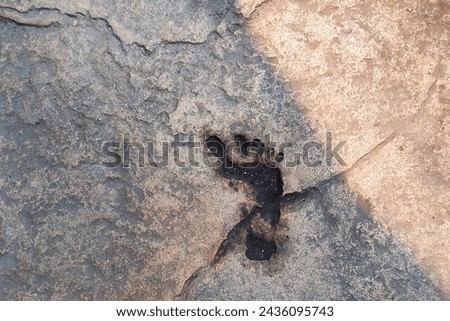 A track of the foot of the monkey in the concrete ground