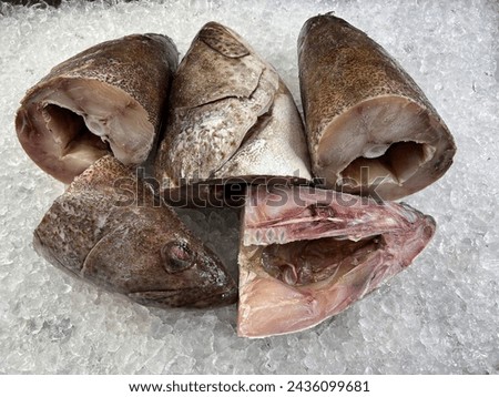fresh raw cold seafood grouper fillet cut grey whole fish ikan on white ice background halal food cuisine hyper market menu for restaurant ingredient design