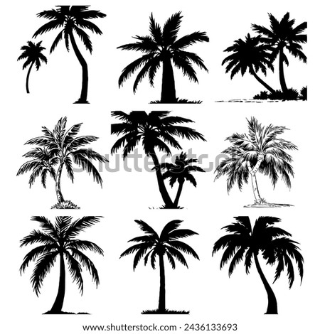 Set of 9 Vector illustration of a palm tree. Black tropical tree on white background.