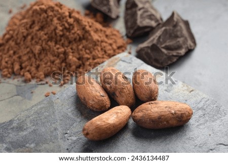 Cacao Beans and Powder: 4K Ultra HD Image
