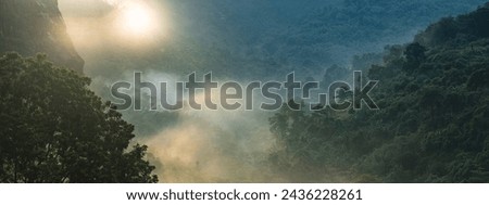 Earth Day eco concept with tropical forest background, natural forestation preservation scene with canopy tree in the wild, concept on sustainability and environmental renewable, banner copy space