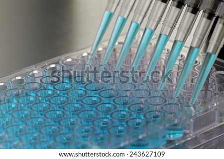 Adding samples inside a biosafety cabinet Royalty-Free Stock Photo #243627109