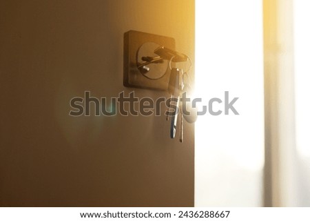 Bunch of different metal keys in lock of new entrance door of house or office, on the outside, safety, open door, security, privacy. Concept of real estate or renting home with sunlight, copy space. Royalty-Free Stock Photo #2436288667