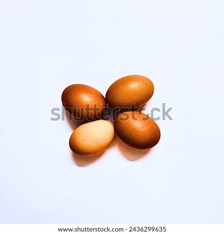 Picture : 4 chicken eggs placed next to each other.