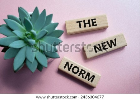 The new norm symbol. Concept words The new norm on wooden blocks. Beautiful pink background with succulent plant. Business and The new norm concept. Copy space. Royalty-Free Stock Photo #2436304677