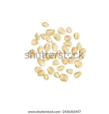 Corn kernels set with a large, soft, floury starch makes hearty addition to any soup or stew. The corn is not been nixtamalized, to process it according to your recipe. Headless corn isolated on white Royalty-Free Stock Photo #2436363457