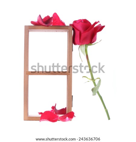 wood shelf decorated with red rose flowers isolated on white background