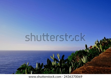 A beautiful picture of the Portuguese island of Madeira, surrounded by the Atlantic Ocean, where there is eternal spring.