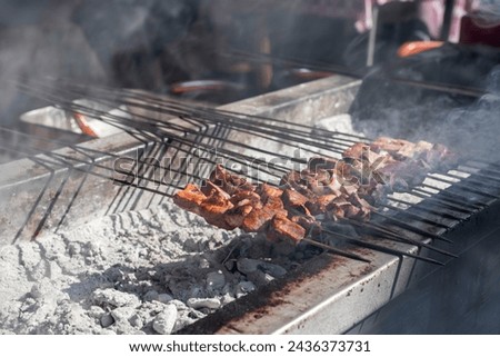 Fresh kebabs on a bbq with smoke, close up, outdoor photography