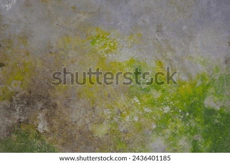 Classic and vintage cement background with rustic paint splatter and soft green moss. Truly gorgeous and beautiful. Highly suitable for your craft, art and design projects!
