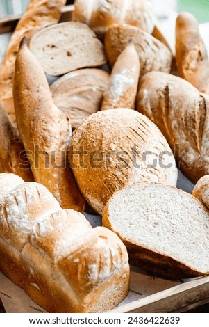 freshly baked ciabatta bread freshly baked ciabatta bread