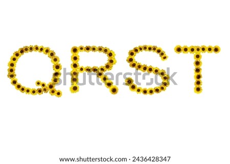 Picture of sunflowers arranged to form QRST letters isolated on a white background.