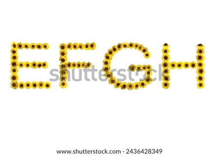 Picture of sunflowers arranged in letters EFGH isolated on white background.