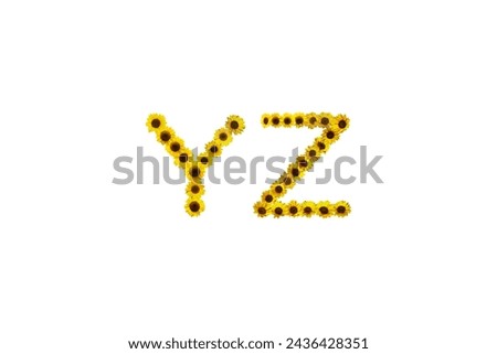 Picture of sunflowers arranged to form YZ letters isolated on white background.