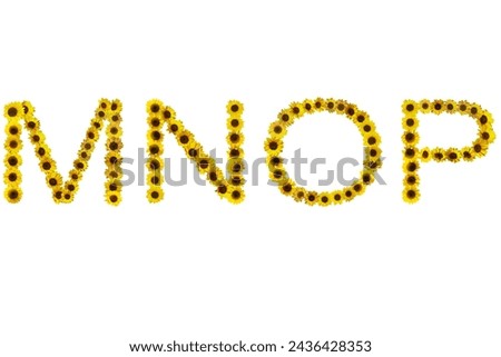 Picture of sunflowers arranged in letters MNOP isolated on white background.