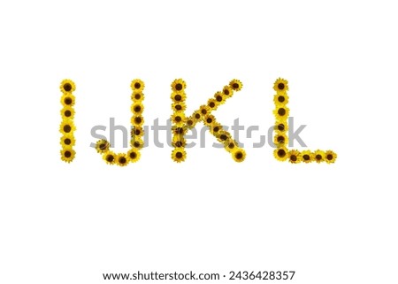 Picture of sunflowers arranged into the letters IJKL isolated on a white background.