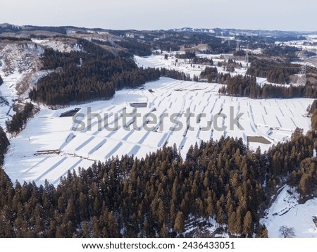 Drone picture: Rice terraces surrounded by trees and covered in beautiful snow