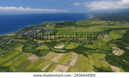 Taiwan, taitung landscape, ricefield, Pacific Ocean. Royalty-Free Stock Photo #2436444301