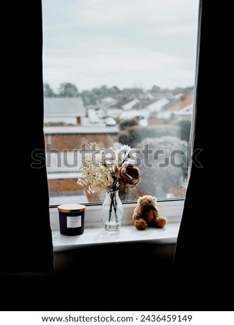 Beautiful flower teddy bear cup picture 