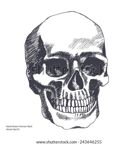 Vintage ethnic hand drawn human skull can be used as a greeting card