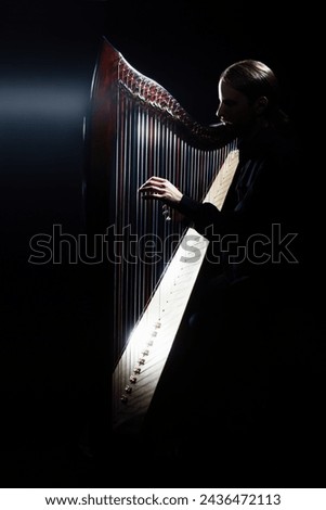 Harp player. Irish harpist playing celtic music. Classical musician