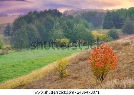 The image shows a breathtaking and dynamic scene of hills on a stormy day. The hills are covered with a colorful mixture of different trees, some of them red, highlighting the transition to autumn.