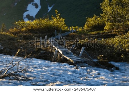 The wooden path of Mt. Hiuchi, Japan's 100 Famous Mountains Royalty-Free Stock Photo #2436475407