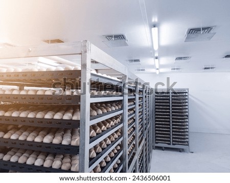 Chicken eggs in the trolley, are eggs that are ready to be hatched into the hatchery. temporary egg stock containers. eggs storages on the coolingroom.